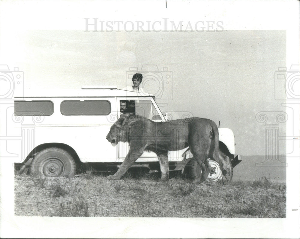 1986 Press Photo Anne Pusey &amp; Craig Packer Watch a Lion in Tanzania - Historic Images