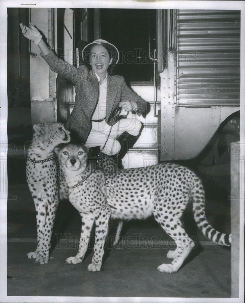 1956 Press Photo Marte Latham Women Wild Animal in Hunter Wild 2 - Historic Images