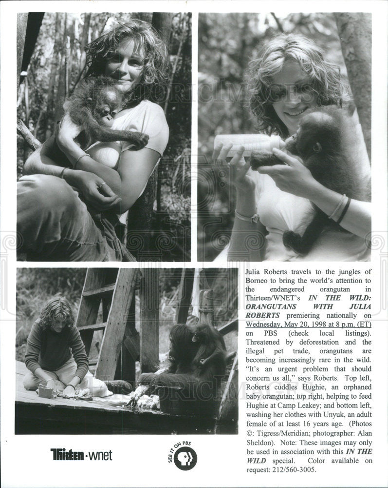 Undated Press Photo Julia Roberts, &quot;In The Wild: Orangutans with Julia Roberts,&quot; PBS - Historic Images