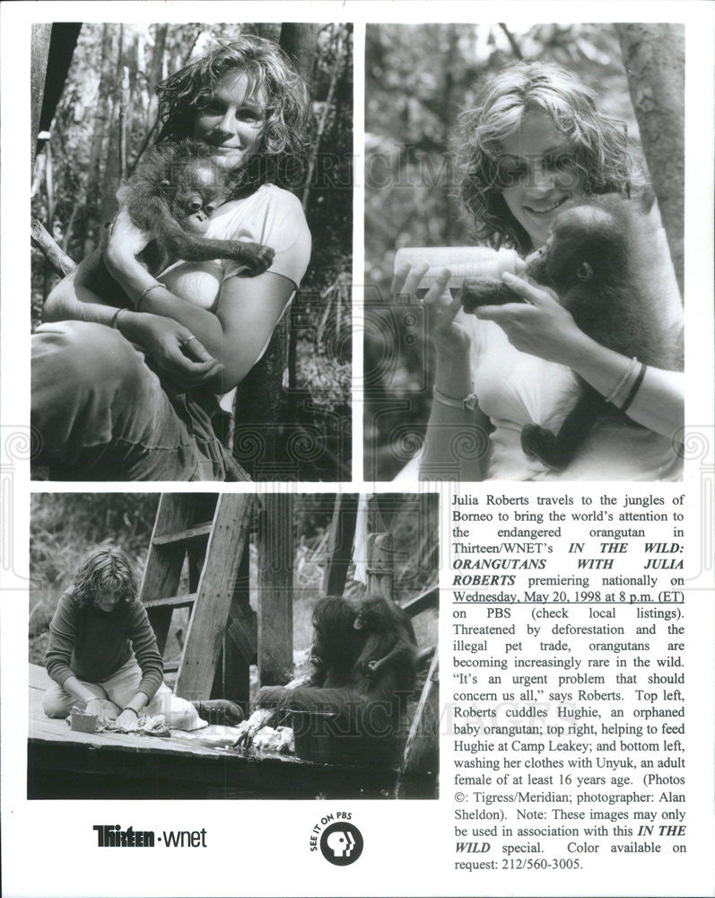 Undated Press Photo Julia Roberts, "In The Wild: Orangutans with Julia Roberts," PBS - Historic Images