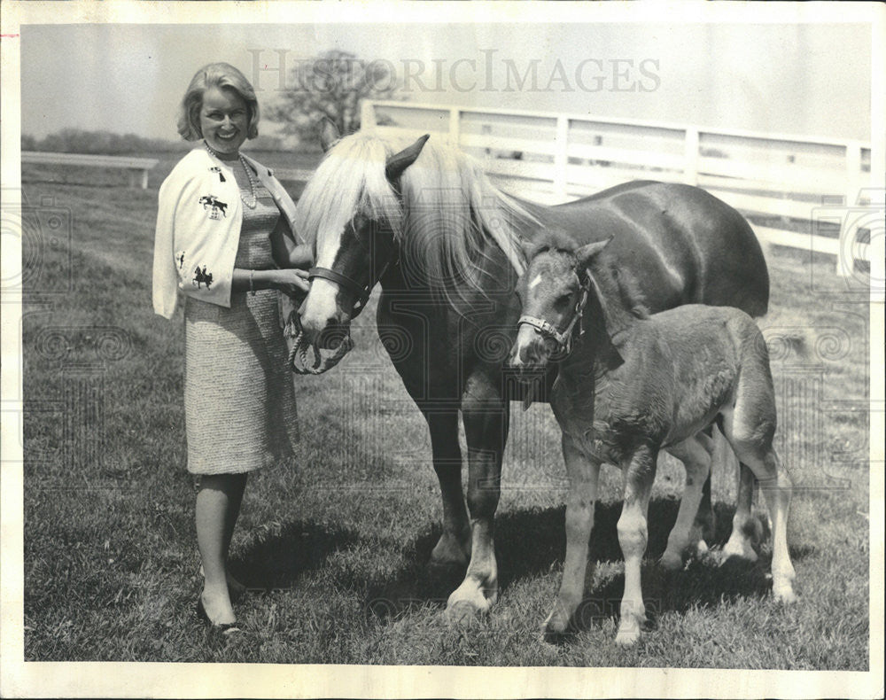 1965 Press Photo Mrs Charles Rowley Jr, Mare Lilac, Colt Lieder - Historic Images