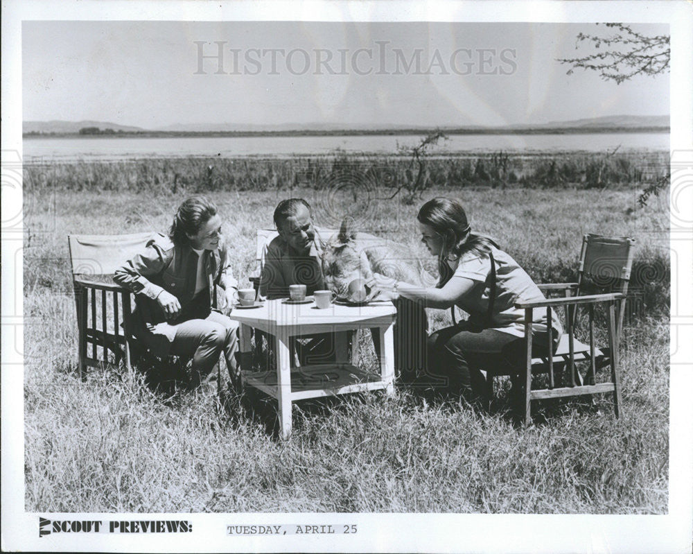 Press Photo Lioness - Historic Images