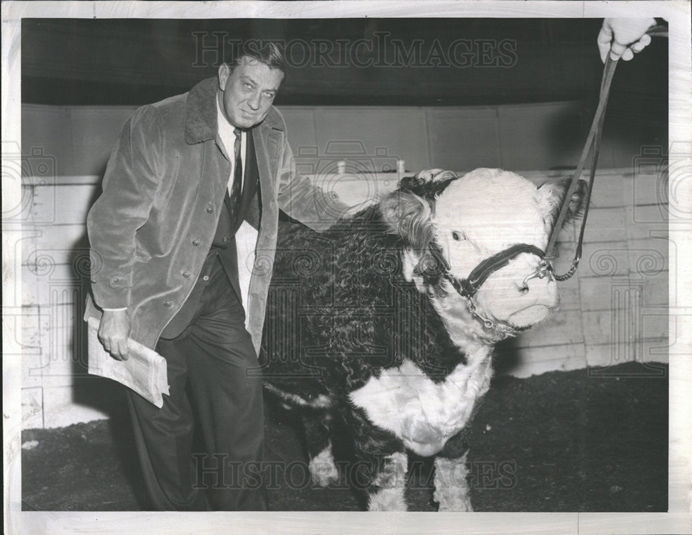 1960 Press Photo Franklin D. Roosevelt Jr. examines hereford at show - Historic Images