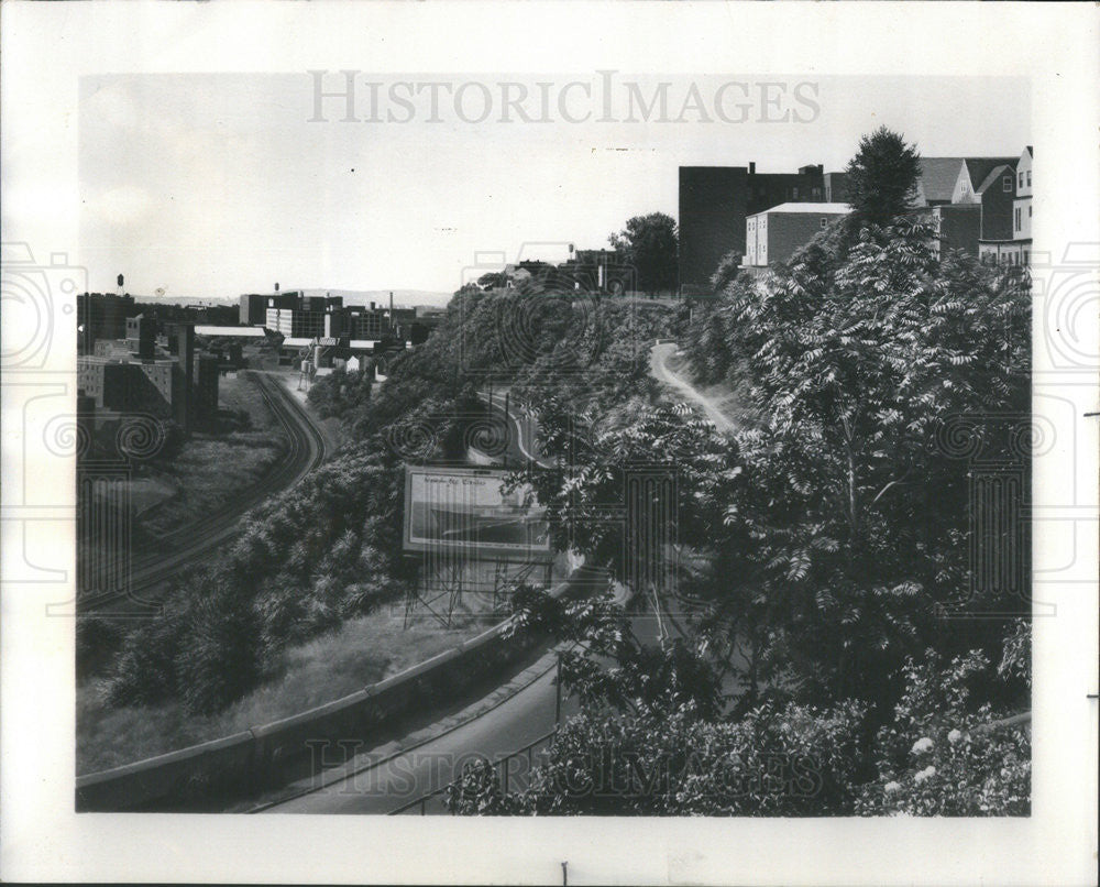 1975 Press Photo Catherine Murphy oil painting Ailanthus Trees Art Institute - Historic Images