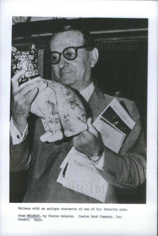 1971 Press Photo Andre Malraux, French novelist. - Historic Images