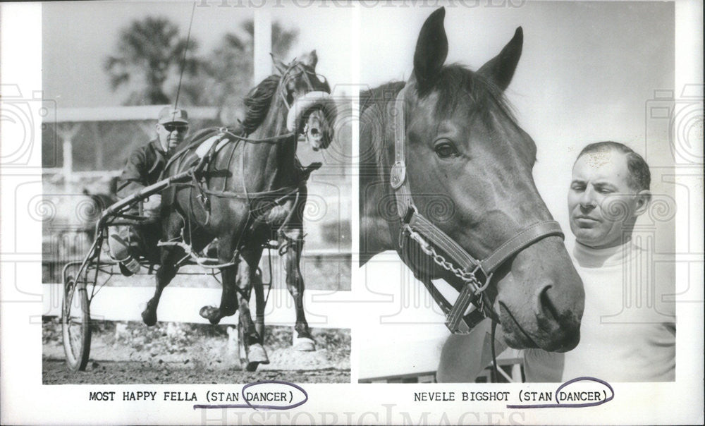 1970 Press Photo Stan Dancer with his horses. - Historic Images