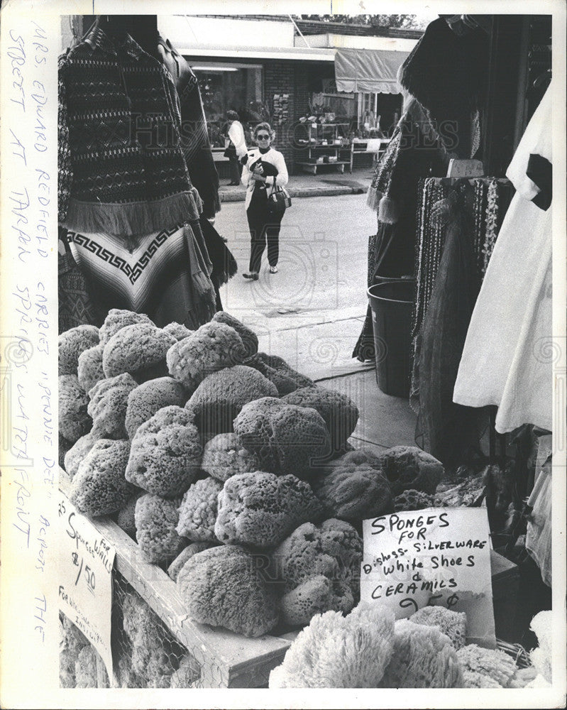 1973 Press Photo
Tarpon Springs
Sponge Oaks - Historic Images