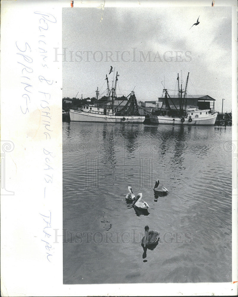 1973 Press Photo Sponge &amp; Shrimps boats in Tarpon Spring&#39;s waterfront - Historic Images