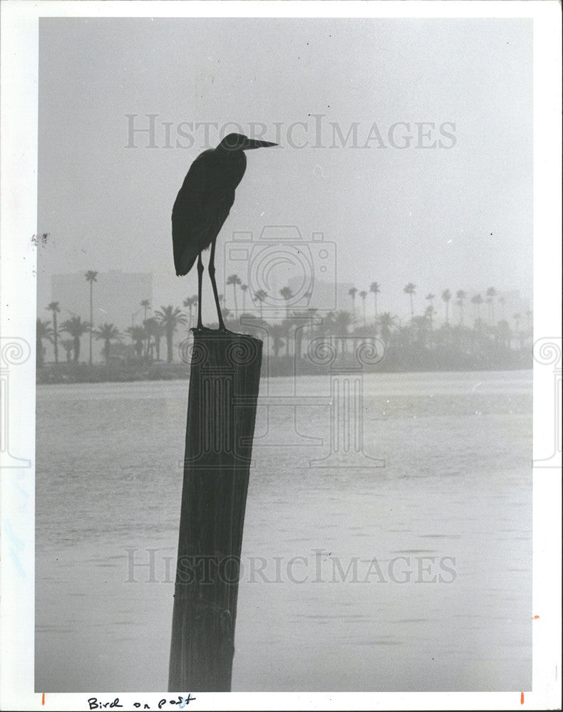 1985 Press Photo Clearwater Harbor Near Memorial Causeway - Historic Images