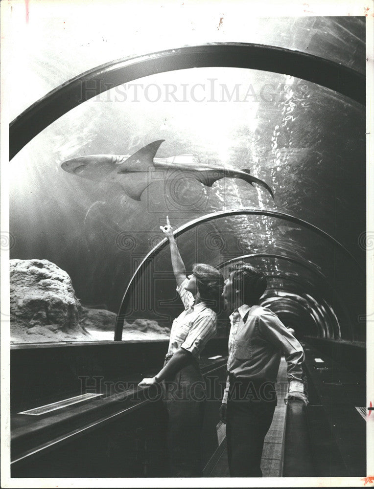 1980 Press Photo Acrylic Shark Tunnel Sea World Florida - Historic Images