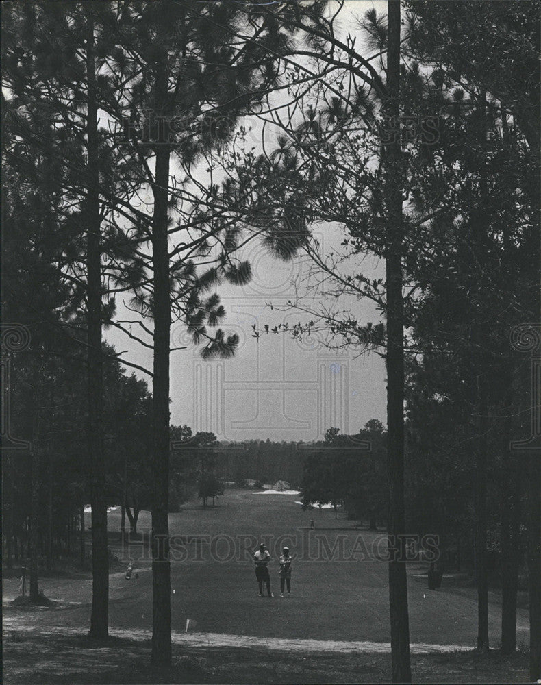 1979 Press Photo
Tree-lined airway
Golf Course - Historic Images