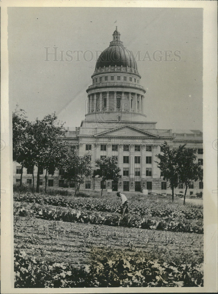 1924 Press Photo Truck Garden atUtah State Capitol for Gov. Charles R. Mabey - Historic Images