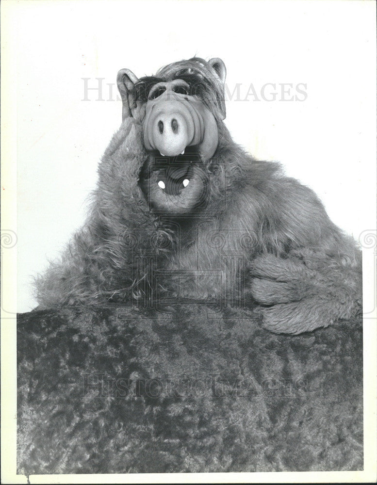 1986 Press Photo Alien Alf Stars in NBC-TV Science Fiction Comedy Series &quot;Alf&quot; - Historic Images