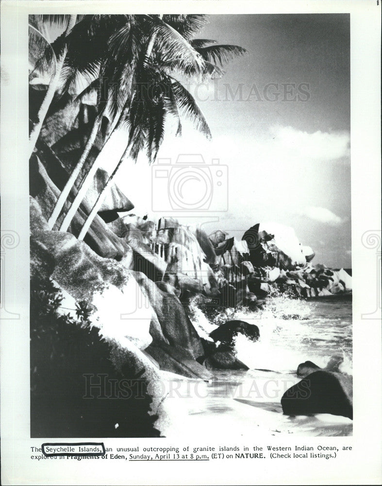1986 Press Photo Seychelle Islands Beach Scenic Vacation Granite Sand Palm Trees - Historic Images