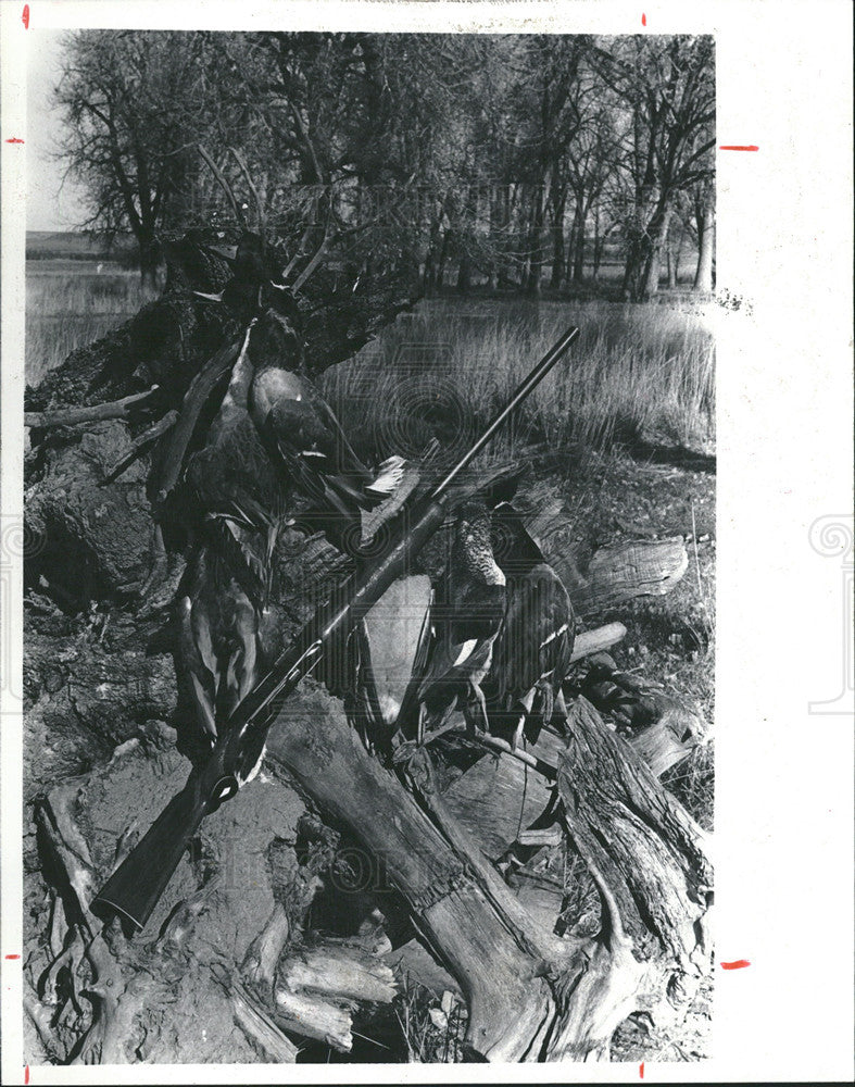 1982 Press Photo Bird Hunting - Historic Images