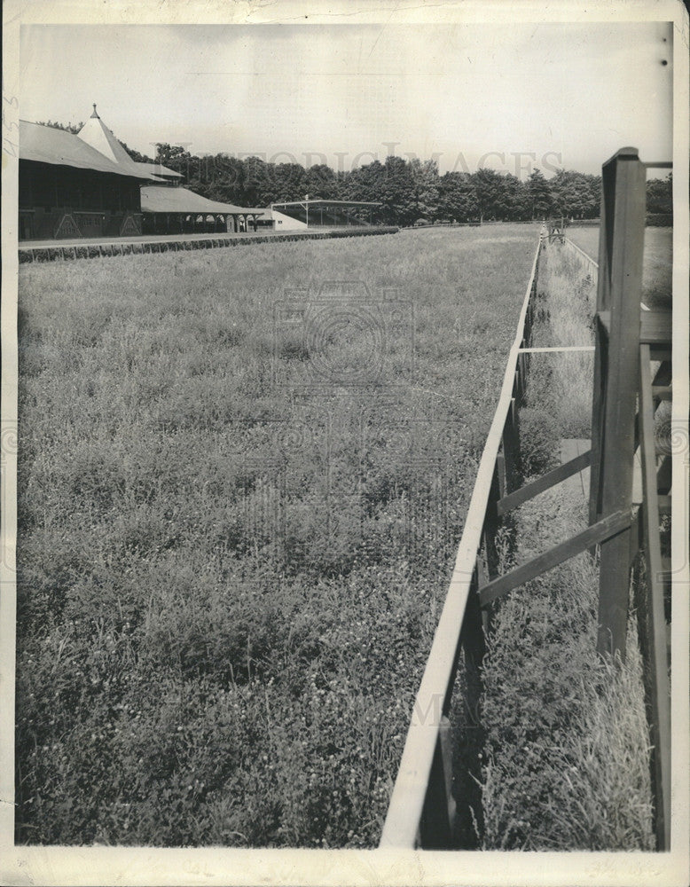 1943 Press Photo Clover and ragweed cover racetrack at Sarasota NY - Historic Images