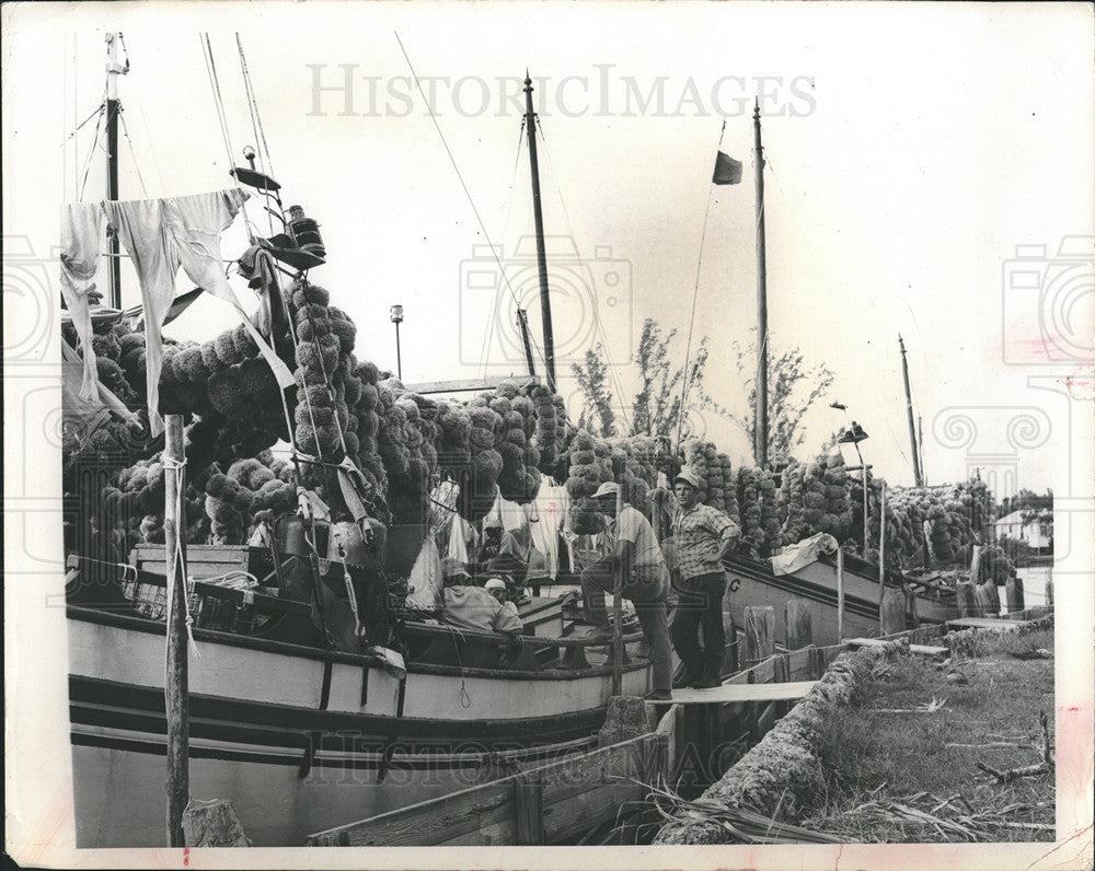 1964 Press Photo sponge fishing Florida - Historic Images