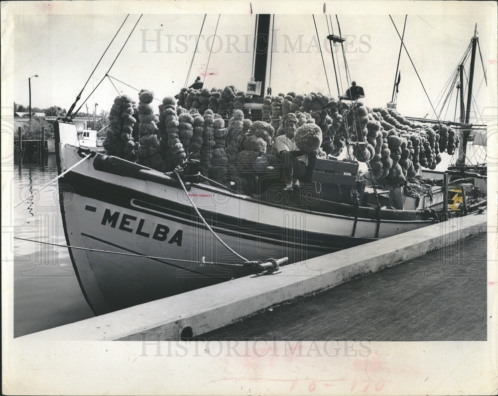 1965 Press Photo Melba boat sponge haul Tarpon Springs - Historic Images