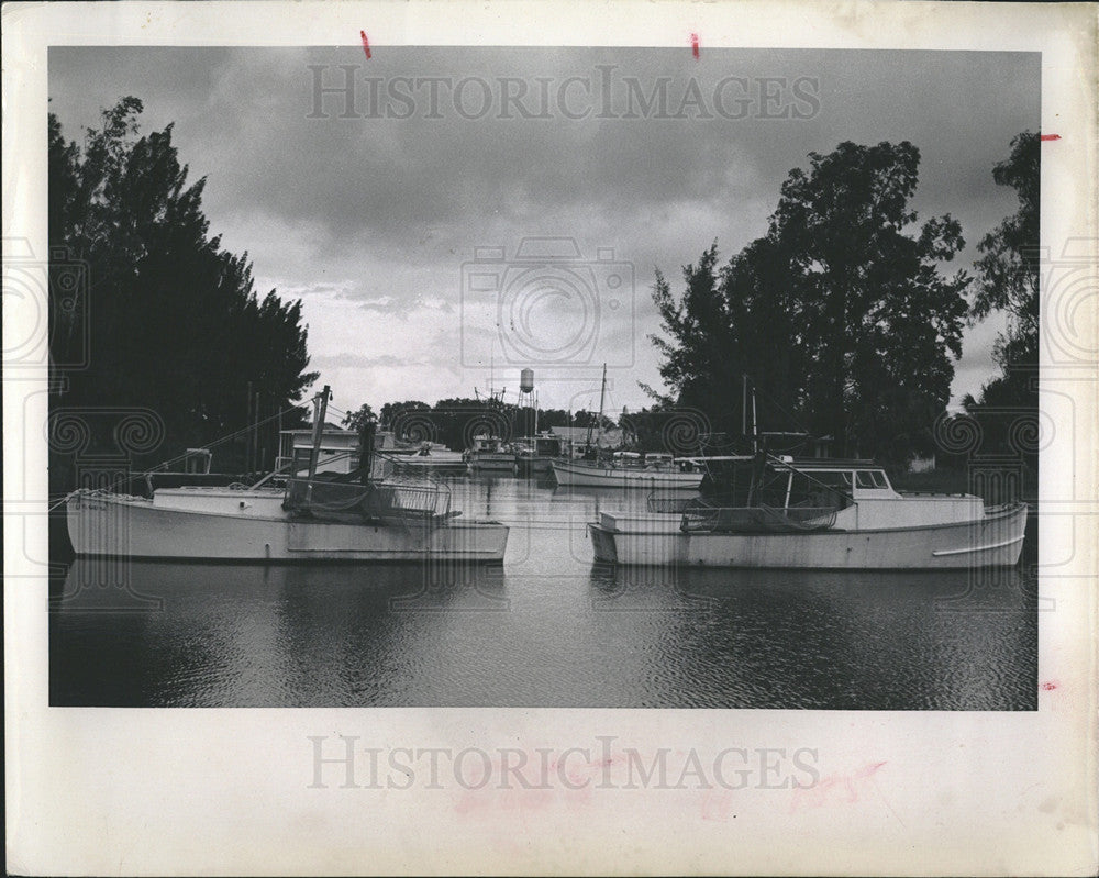 1967 Press Photo Tarpon Springs Sponge Docks. - Historic Images