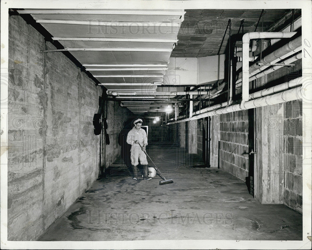 1942 Press Photo Brookfield Zoo Man Cleaning - Historic Images