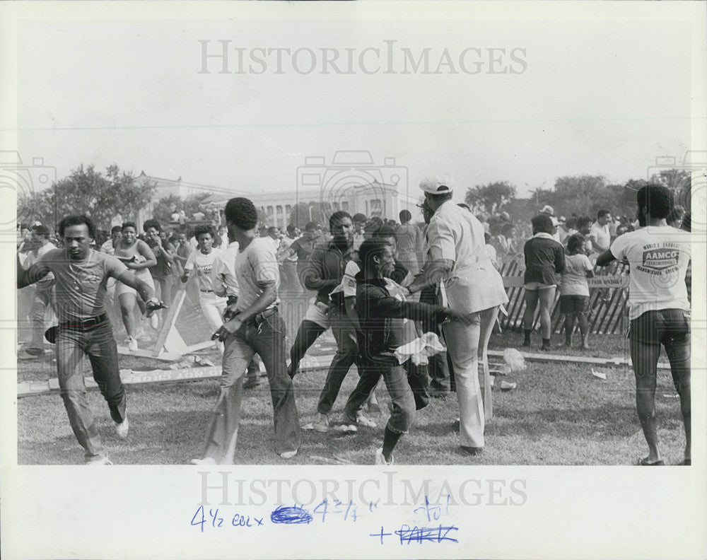 1982 Press Photo Crowds Fight at Grant Park Concert and Picnic - Historic Images