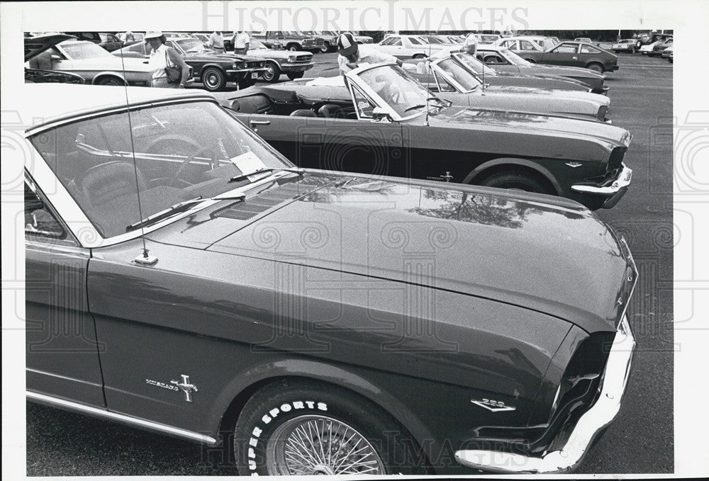 1982 Press Photo  Ford Mustang - Historic Images