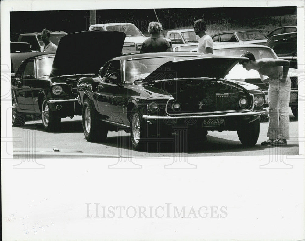 1982 Press Photo Classic mustang autos - Historic Images