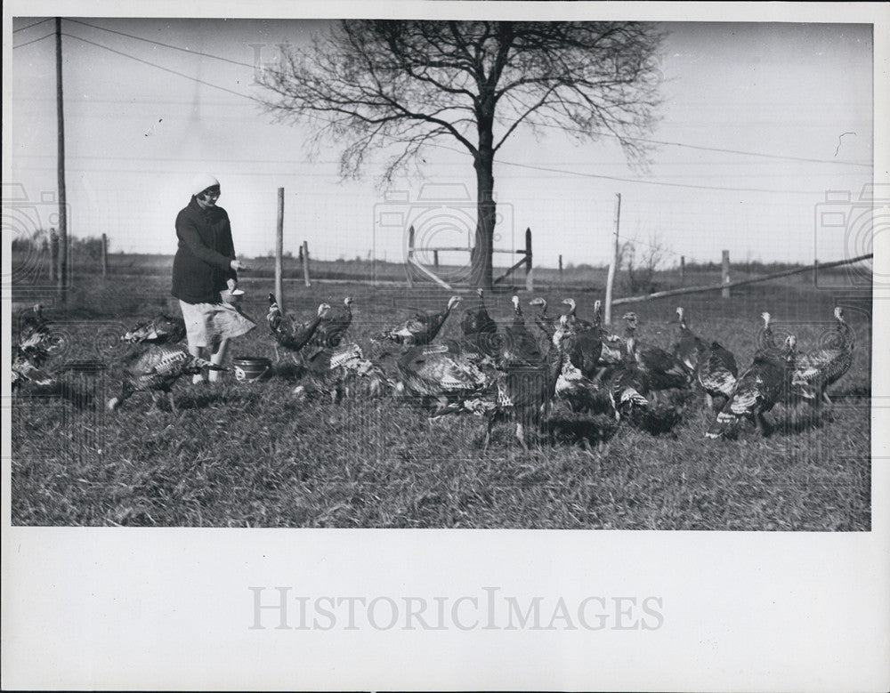 1935 Press Photo Michigan State University Turkey Farm - Historic Images