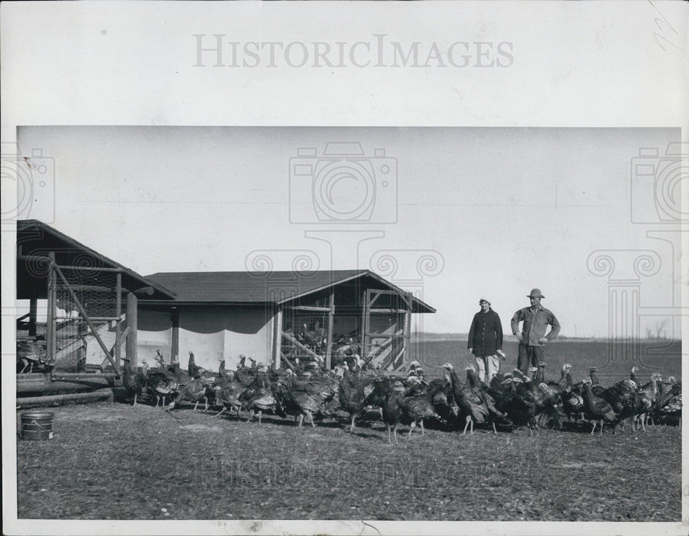 1935 Press Photo Michigan State University Turkey Farm - Historic Images