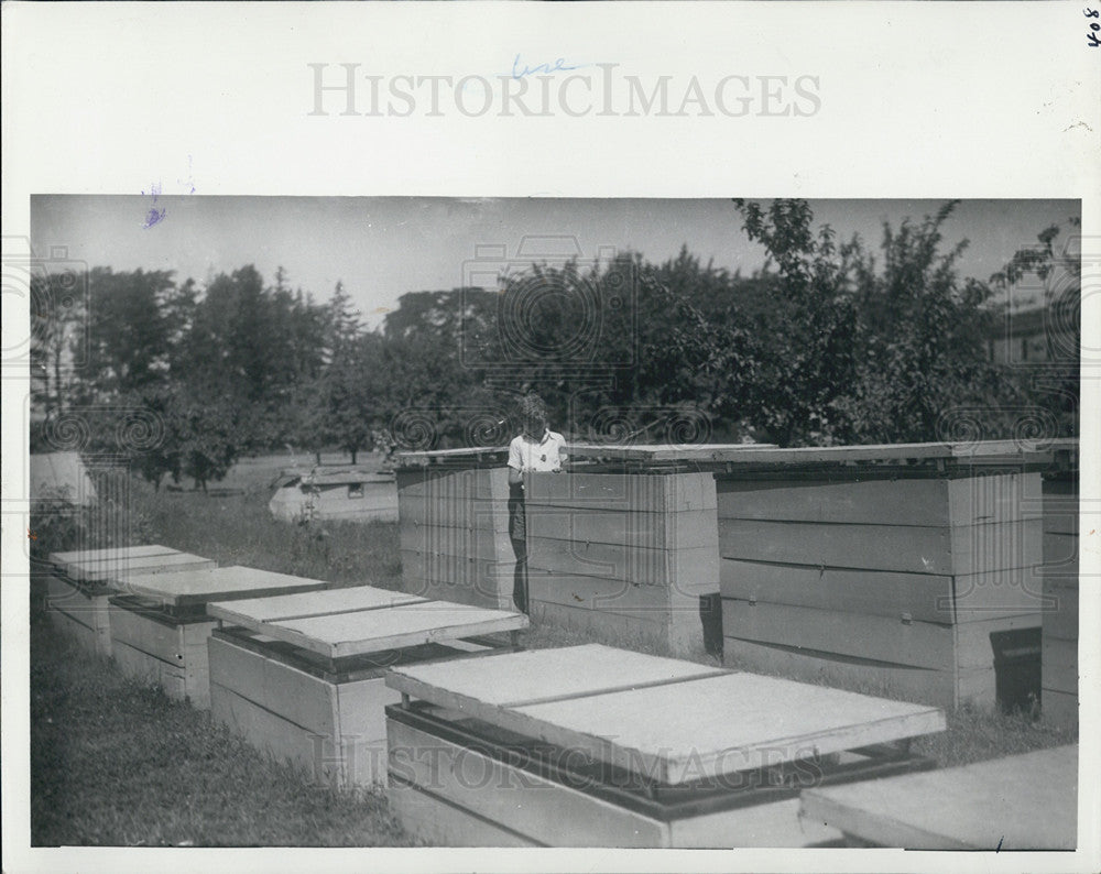 1935 Press Photo Michigan State University Experimental Station, South Haven - Historic Images