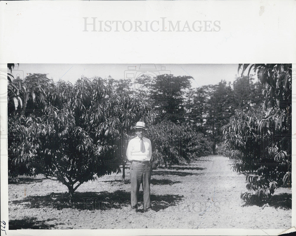 1935 Press Photo Michigan State University Experimental Station, South Haven - Historic Images