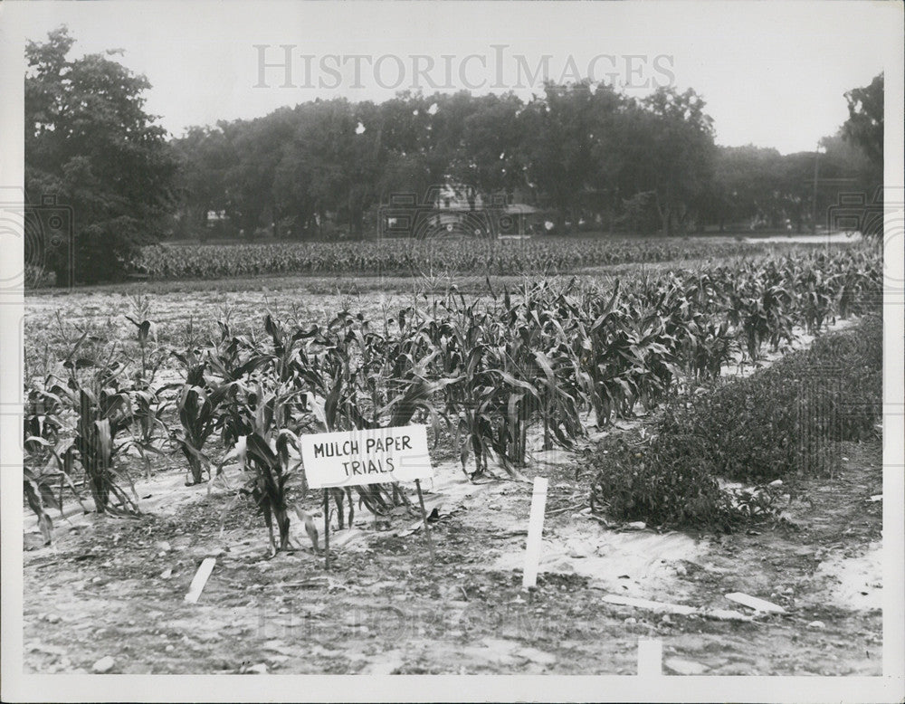 1935 Press Photo Mich State U farm circa 1927 - Historic Images