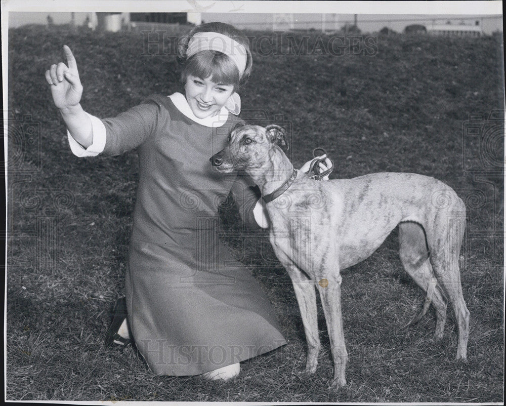 1967 Press Photo Susan Mullaney eith her greyhound - Historic Images