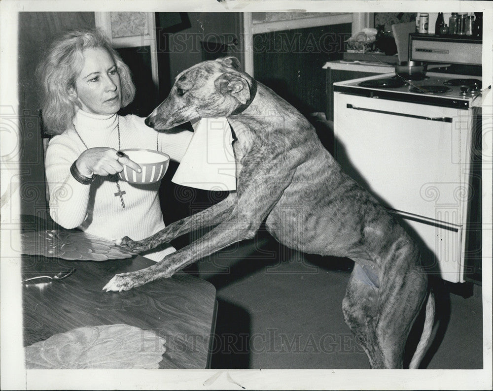 1974 Press Photo John Egan, top greyhound &amp; Mrs. Frank Fulginiti. - Historic Images