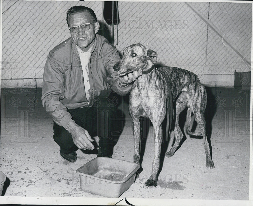 1967 Press Photo Racing Dog Raynham Ace With His Owner Ernie Fromm - Historic Images