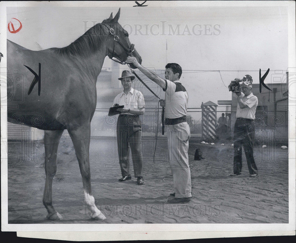 1953 Press Photo Groom Holds Horse While Photographer Tom Shea Takes Picture - Historic Images