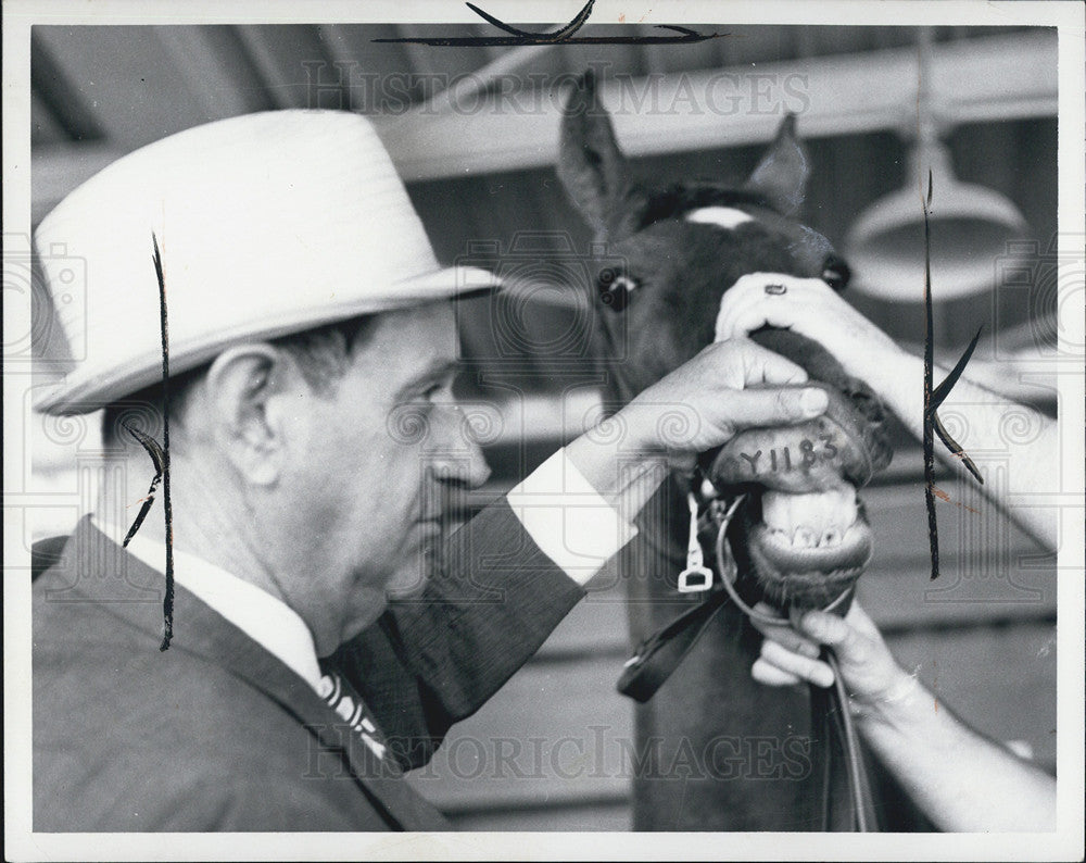 1972 Press Photo Armand Demers Identifying Race Horses Distinguishing Markings - Historic Images