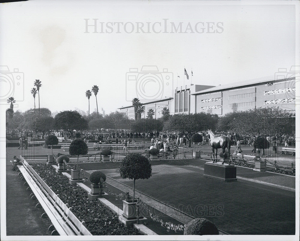 1955 Press Photo Horse Racing at Santa Anita Park - Historic Images