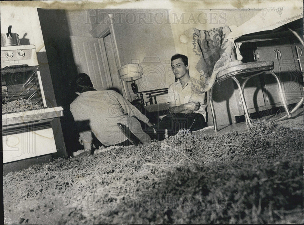 1968 Press Photo Jose Flores and Teddy Colon Arrested Marijuana - Historic Images