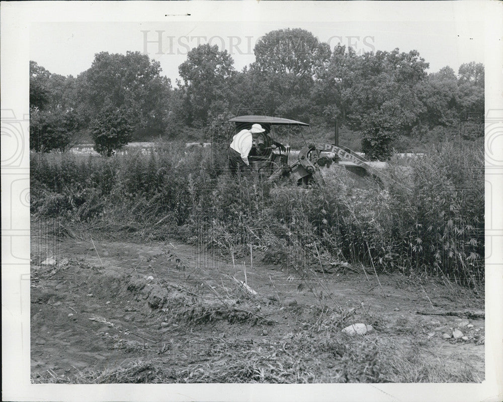 1956 Press Photo Sheriff Joseph D Lohman on Bulldozer Cutting Down Weeds - Historic Images