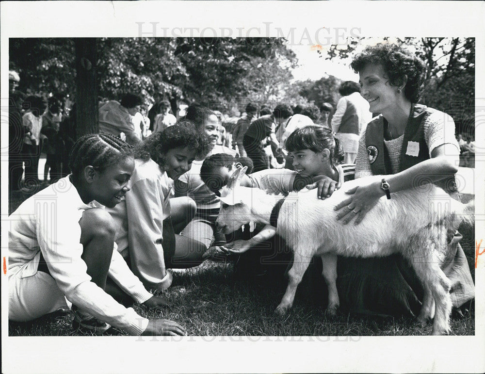 1988 Press Photo Lincoln Park Zoo, &quot;Wildlife Workshops&quot; - Historic Images