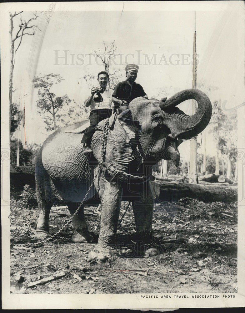 1962 Press Photo Tourist Rides Elephant In Thailand Tour - Historic Images