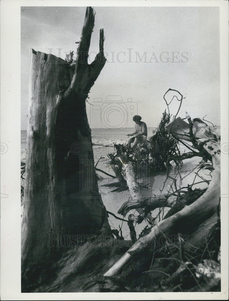 1974 Press Photo Man Sitting On Mangled Tree St Petersburg Beach Flori ...