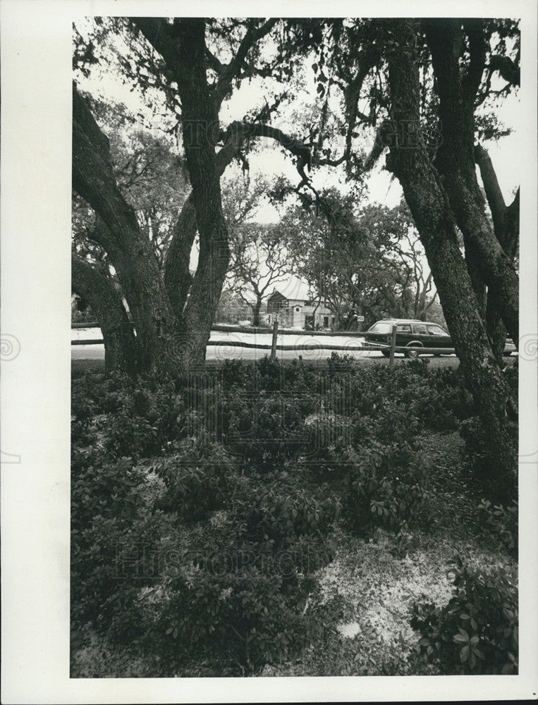 1978 Press Photo Forest Lake Estates New Port Richey Florida - Historic Images