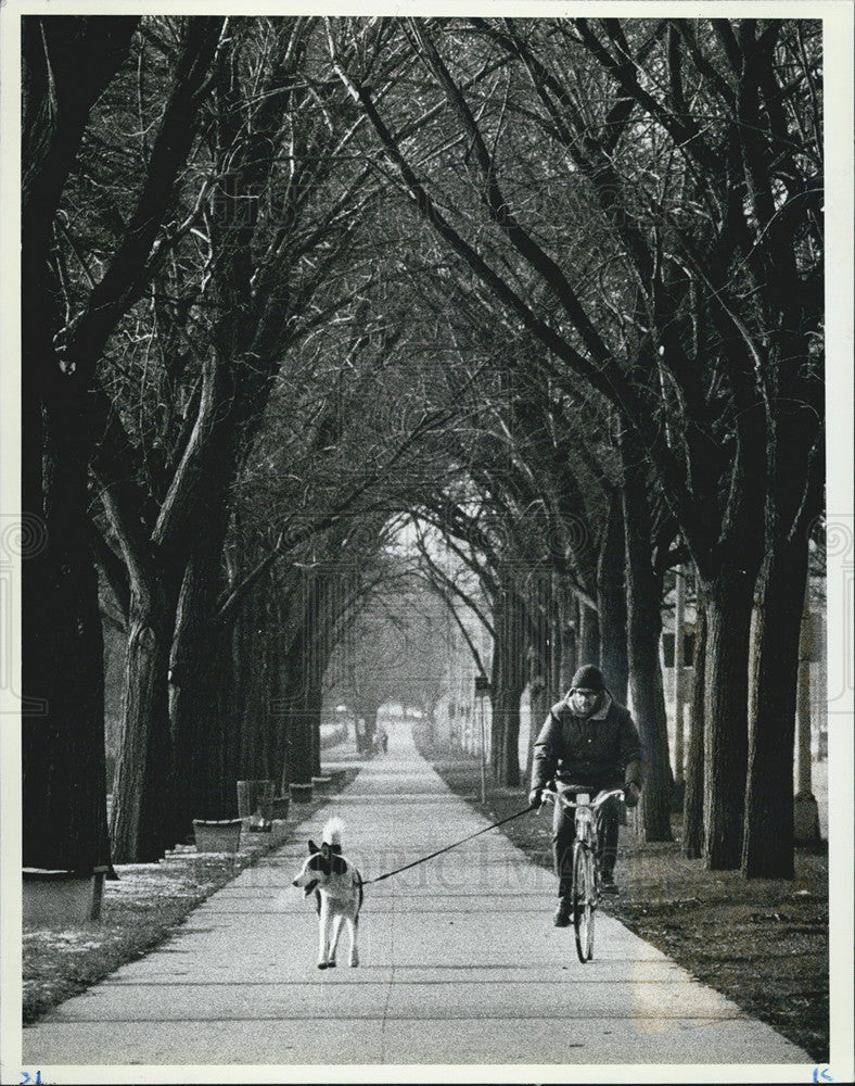 1983 Press Photo F. Alout and Dog Lake Shore Drive - Historic Images