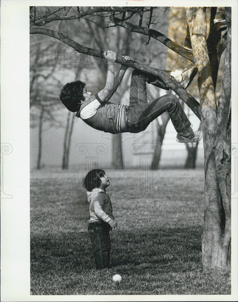 1983 Press Photo Robert Garcia/Marcos Garcia Climbing Tree/Children - Historic Images