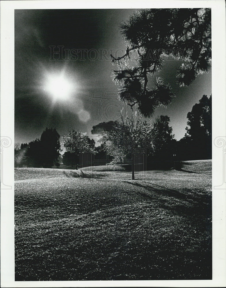 1981 Press Photo Sun Reflects Ice And Frost On Pinellas County Golf Course - Historic Images