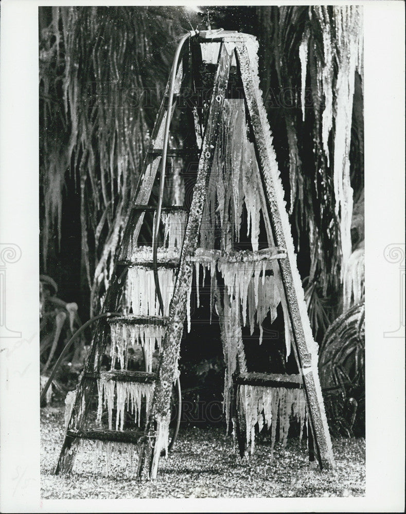 1983 Press Photo Earl Zinck Invention Of Sprinkler On Stepladder Makes Waterfall - Historic Images