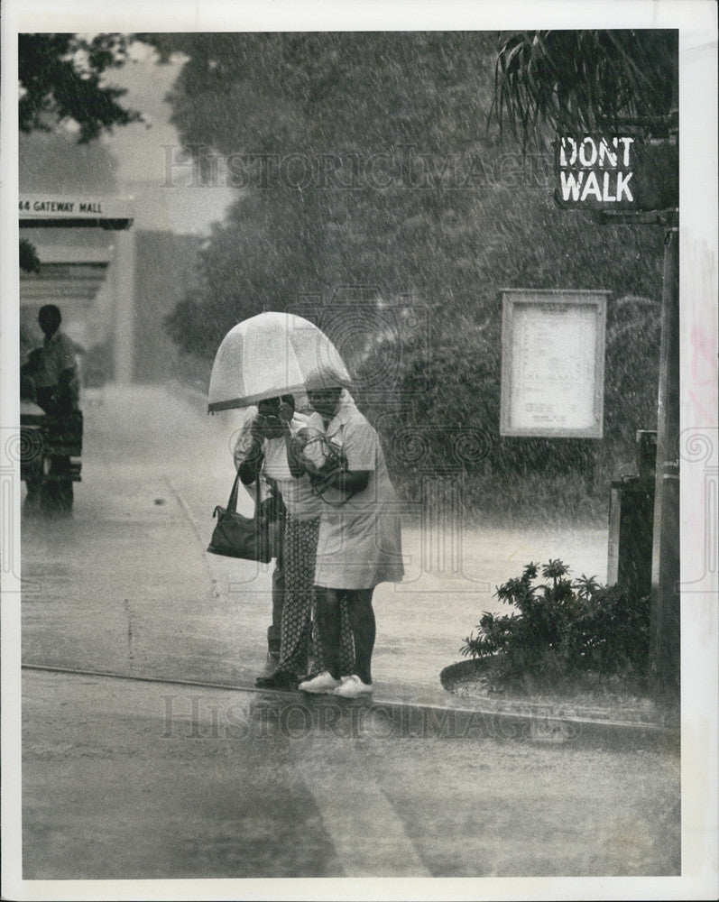 1979 Press Photo storms Pinellas county - Historic Images