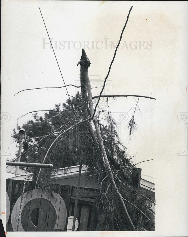 1976 Press Photo St. Petersburg Florida Storm Damage - Historic Images